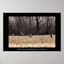 Search for buck and doe art Winter