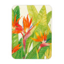 Search for birding magnets Watercolor