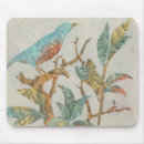 Search for aviary mouse mats Domestic