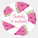 Search for cute melon stickers Girly