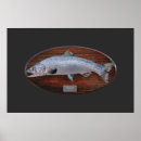 Search for freshwater fish posters Sport