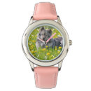 Search for spitz accessories Flowers