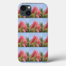 Search for creative design iphone cases Fashionable