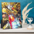 Search for christmas tree plaques Green