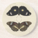 Search for cream coasters Colourful