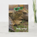 Search for tortoise cards Green