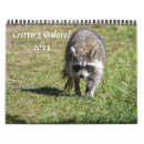 Search for groundhog calendars Racoon
