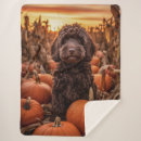 Search for labradoodle blankets Animal