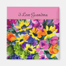 Search for speciality magnets Grandmother