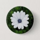 Search for african daisy accessories Nature