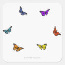 Search for butterflies fly stickers Animals