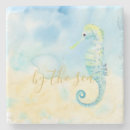 Search for seahorses coasters Beach