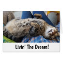 Search for tabby Humour