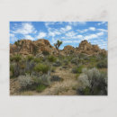 Search for joshua tree national park postcards Landscape