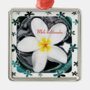 Search for plumeria christmas tree decorations Flower