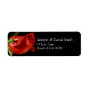 Search for bride and groom return address labels Rsvp