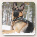Search for bandanna barware Cute