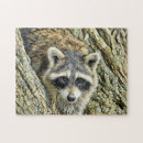 Search for raccoon puzzles Cute