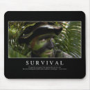 Search for surviving mouse mats Survival