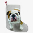 Search for english bulldog christmas stockings Cute