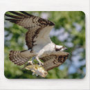 Search for large image mouse mats Fish