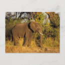 Search for river fall postcards Sergio pitamitz