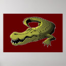 Search for gators posters Reptile