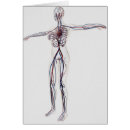 Search for circulatory system Square image