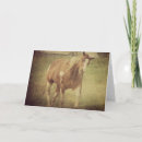 Search for bug art cards Photography