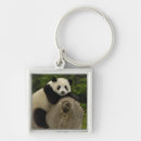 Search for oxford key rings Fauna