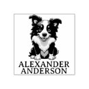 Search for border collie cartoon Puppy