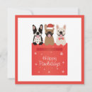 Search for happy pawlidays christmas cards Snowflakes