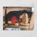 Search for borzoi Canine