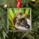 Search for domestic shorthair cat christmas tree decorations Pet