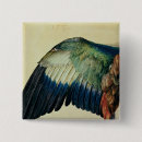 Search for blue wing badges Bird
