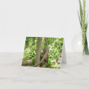 Search for primate pics cards Ape