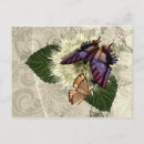 Search for butterflies fluttering postcards Floral