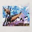 Search for seed pod postcards Milkweed