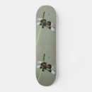 Search for bug skateboards Green