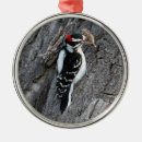 Search for woodpecker christmas tree decorations Wildlife