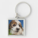 Search for copy space key rings Animal