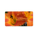 Search for daylily return address labels Hemerocallis
