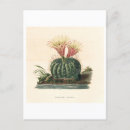 Search for 1841 Vintage