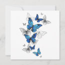 Search for flying butterfly cards Blue