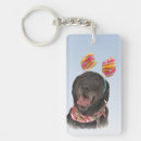 Search for labrador dog key rings Puppy