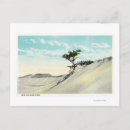 Search for dorothy postcards Provincetown