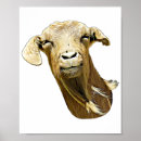 Search for funny goat posters Goats
