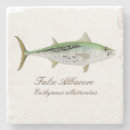 Search for bonito Tuna