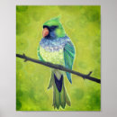 Search for colourful parrot posters Wild