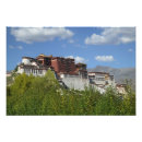 Search for lhasa posters China